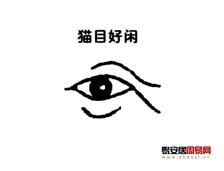 貓眼 面相|面相解析何为猫眼